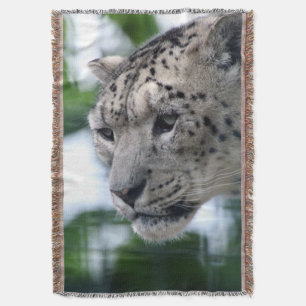 Leopard 003 filt