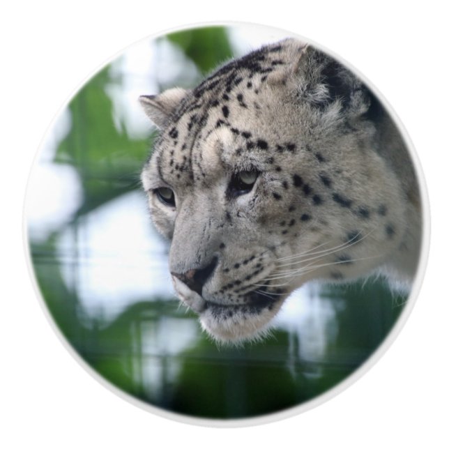 Leopard 003 knopp (Framsidan)
