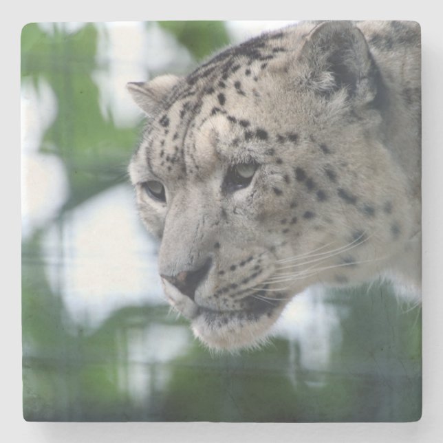Leopard 003 stenunderlägg (Framsidan)
