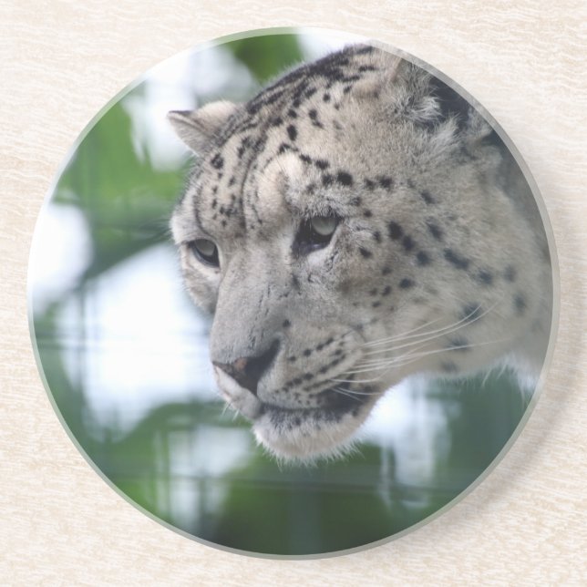 Leopard 003 underlägg (Framsidan)
