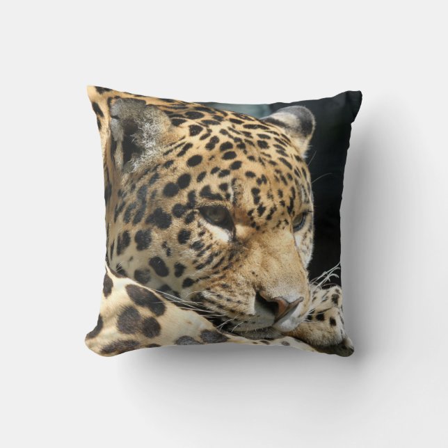 Leopard 004 kudde (Framsida)