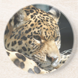 Leopard 004 underlägg sandsten