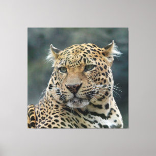 Leopard 006 canvastryck