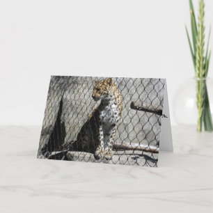 "Leopard #1" Födelsedagskort Kort