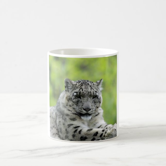 Leopard_2015_0310 Magisk Mugg (Center)