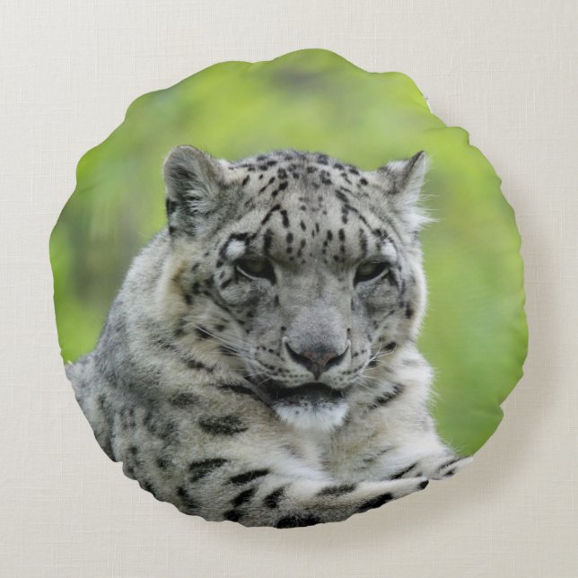 Leopard_2015_0310 Rund Kudde (Baksidan)