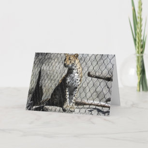 "Leopard #2" Hämta brunstkort Kort
