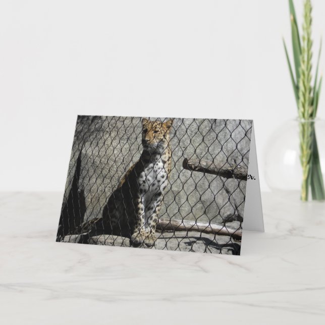 "Leopard #3" födelsedagskort Kort (Framsida)