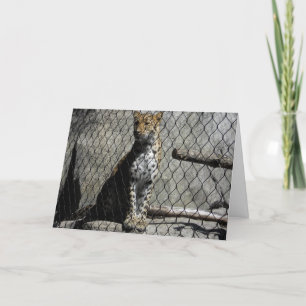 "Leopard #3" Hämta brunstkort Kort