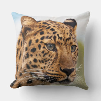 Leopard 3 Kuddar