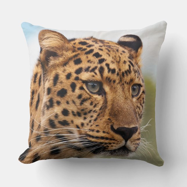 Leopard 3 Kuddar (Framsida)
