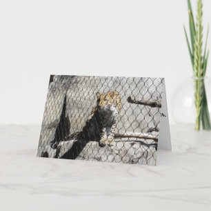 "Leopard #4" födelsedagskort Kort