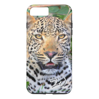 Leopard 6