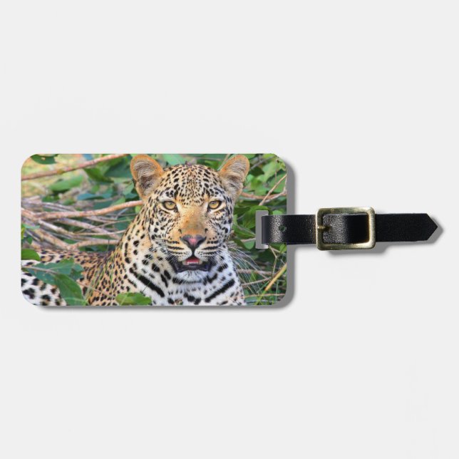 Leopard 6 Luggage Tag Bagagebricka (Horisontell Framsida)