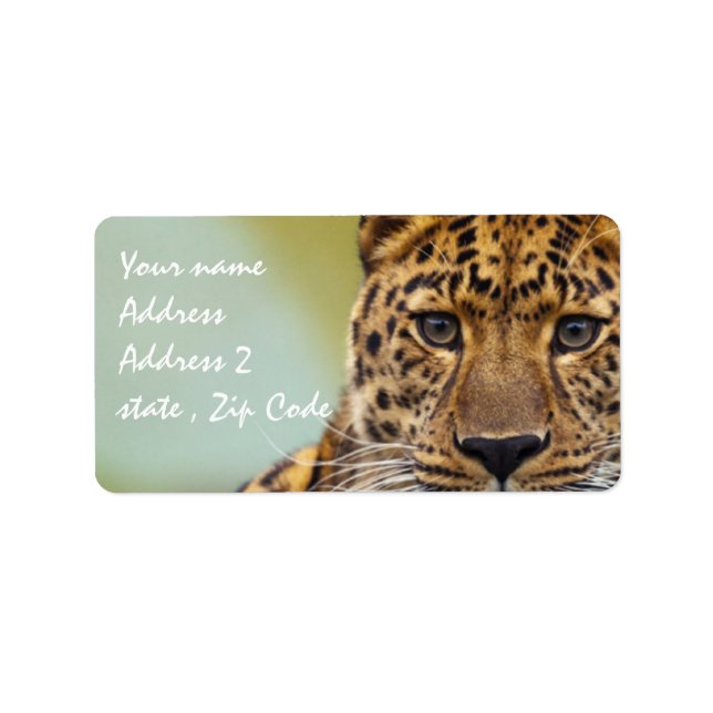 Leopard Adressetikett (Framsidan)