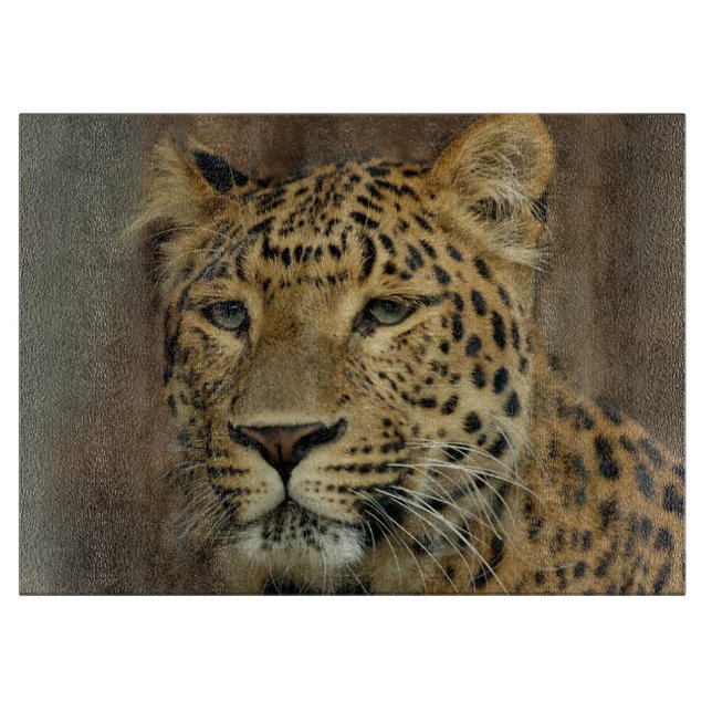 Leopard Älskare Art (Framsidan)