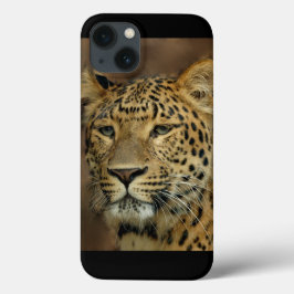 Leopard Älskare Art