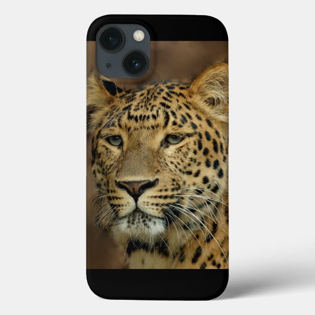 Leopard Älskare Art (Baksida)
