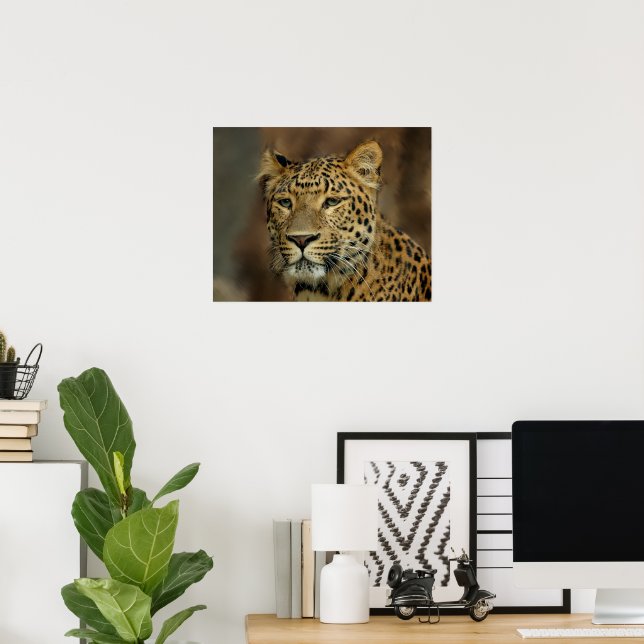 Leopard Älskare Art Poster (Hemmakontoret)