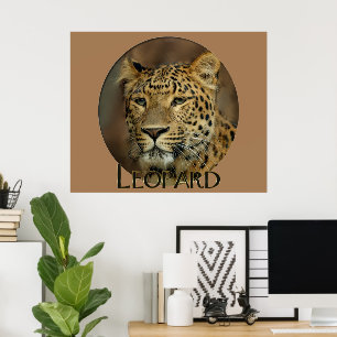 Leopard Älskare Art Poster