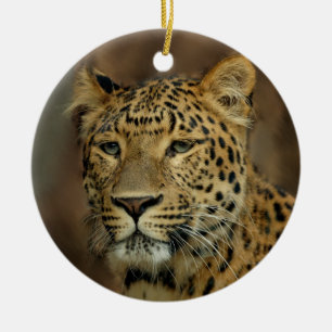 Leopard Älskare Julgran ornament