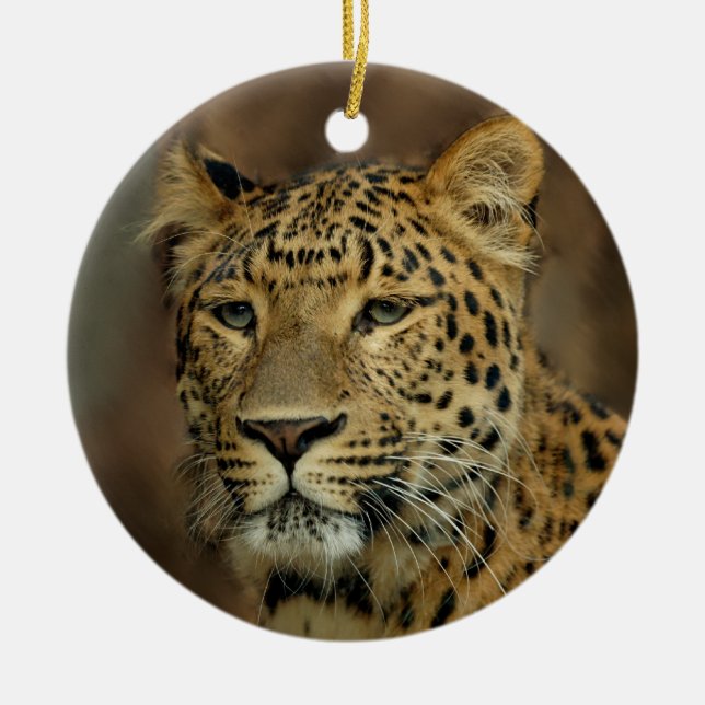 Leopard Älskare Julgran Ornament (Framsidan)