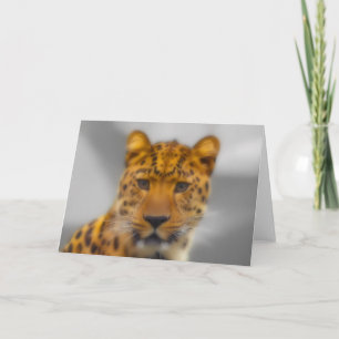 Leopard Ansikte Kort