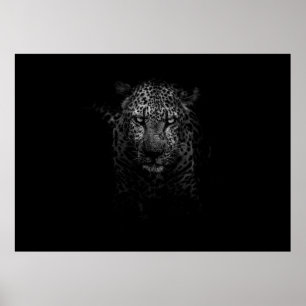 LEOPARD ANSIKTE POSTER