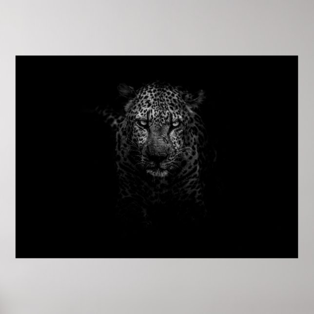 LEOPARD ANSIKTE POSTER (Framsidan)