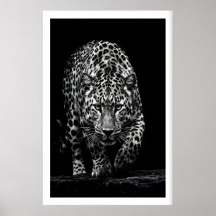 Leopard Ansikte Väggkonst Monokrom Vilda Djur Tryc