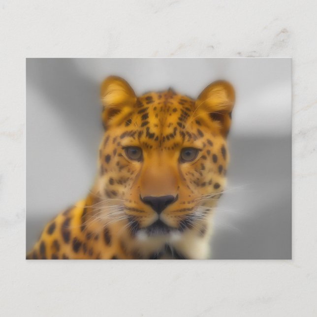 Leopard Ansikte Vykort (Framsida)
