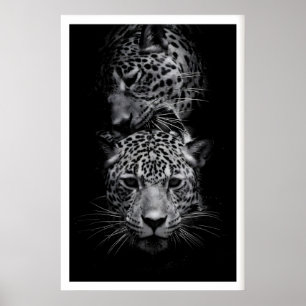 Leopard Ansikten Tryck Svart och Vitt Vilda Djur K