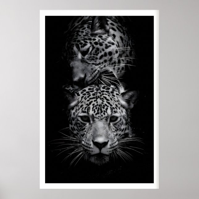 Leopard Ansikten Tryck Svart och Vitt Vilda Djur K (Framsidan)