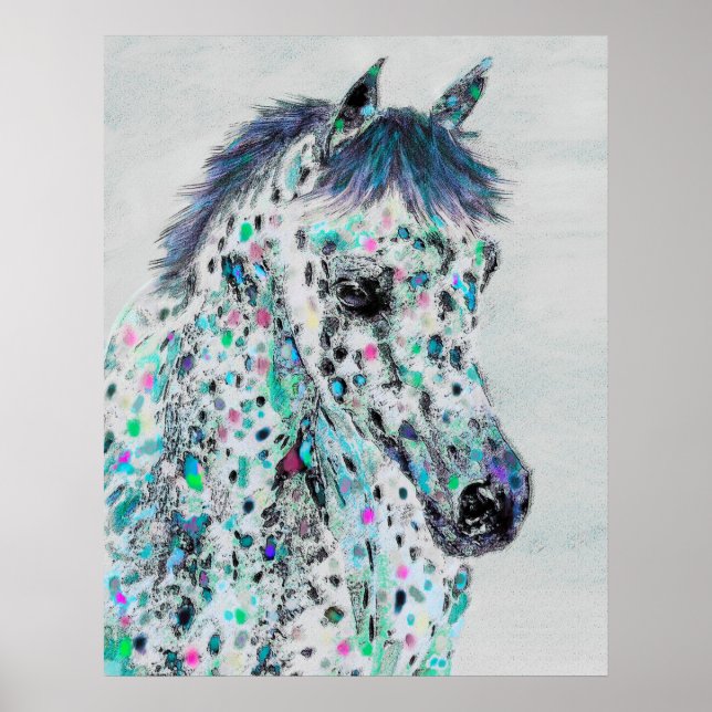 leopard appaloosa häst poster (Framsidan)