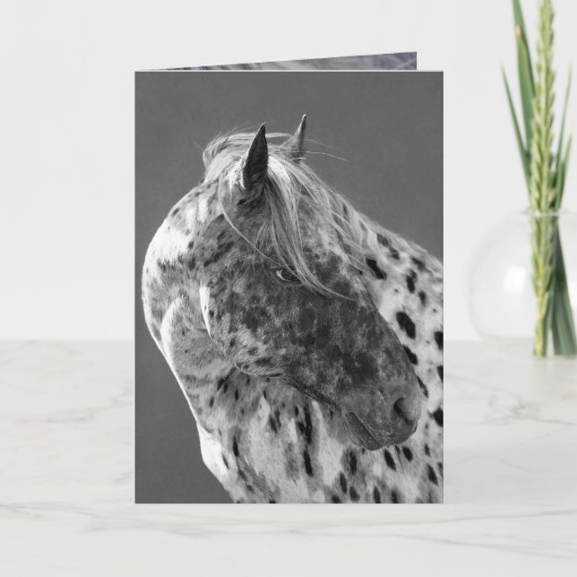 Leopard Appaloosa Horse Greeting Card Kort (Framsida)