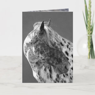 Leopard Appaloosa Horse Greeting Card Kort