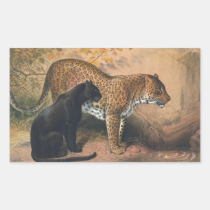Leopard av Joseph Varg Rektangulärt Klistermärke