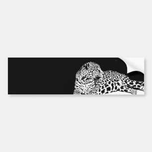 Leopard Bildekal