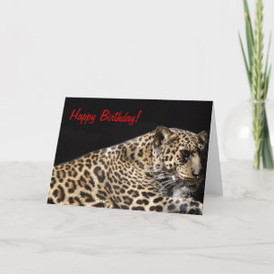 Leopard Birthday Card Kort