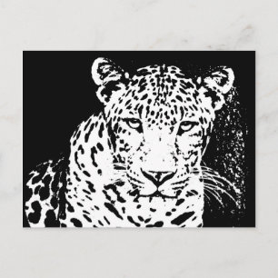 Leopard Black och White Porträtt vykort