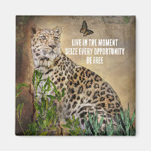 Leopard Butterfly Photo LIve i aktuell citat