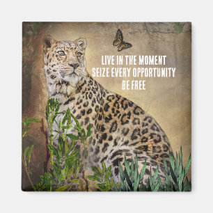 Leopard Butterfly Photo LIve i aktuell citat Magnet