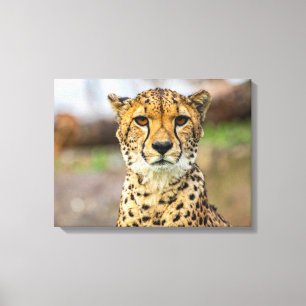 leopard canvastryck