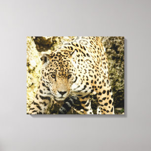 Leopard Canvastryck