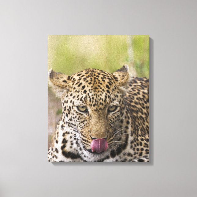 Leopard Canvastryck (Framsida)