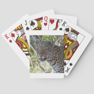 Leopard Cat Animal Afrika Jungle Land Destiny Spelkort