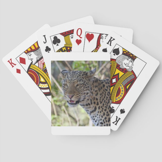 Leopard Cat Animal Afrika Jungle Land Destiny Spelkort (Baksidan)