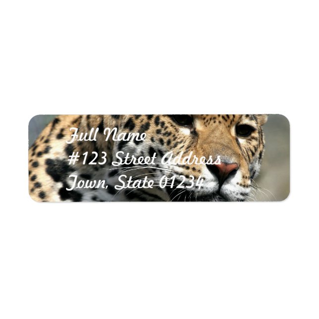 Leopard Cat-segeletiketter Returadress Etikett (Framsidan)