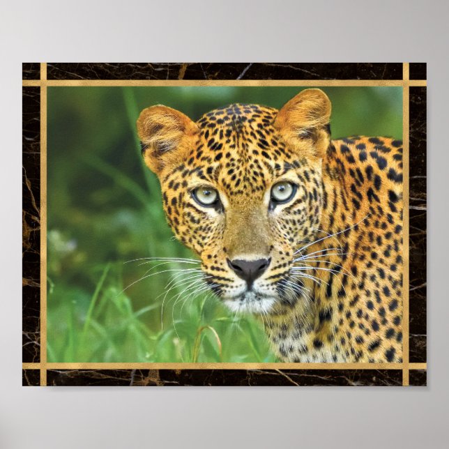 Leopard Closeup Photo Image Print Poster (Framsidan)