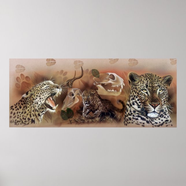 Leopard Collection Poster (Framsidan)